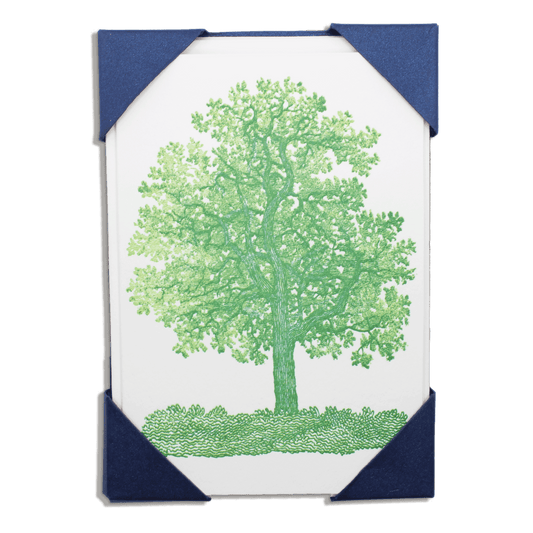 Oak Tree Note Cards