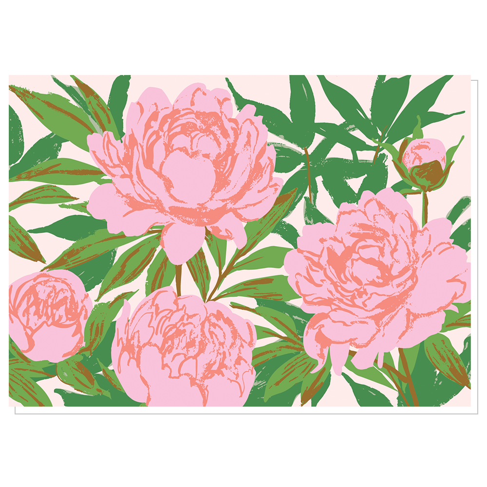 Pink Garden Peonies Boxed Set
