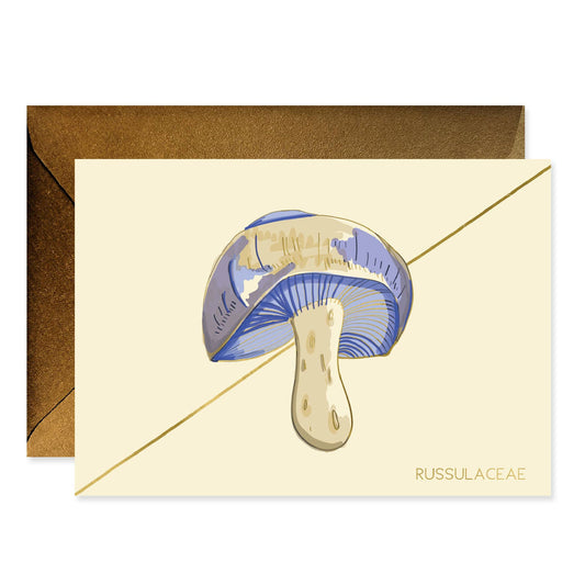Periwinkle Mushroom Stationery Boxed Set Of 6 Cards