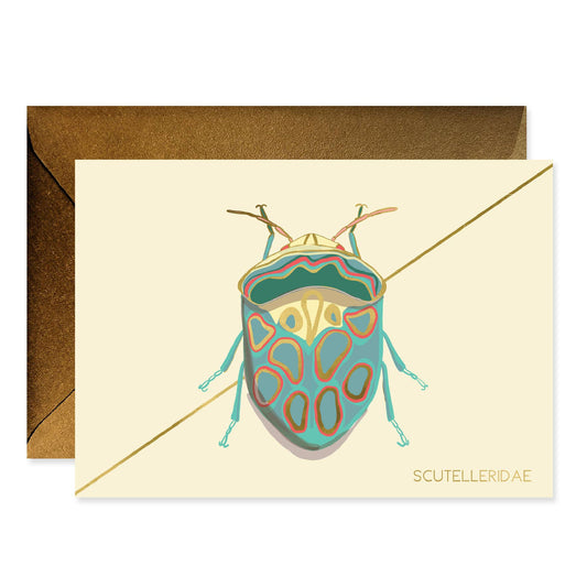 Teal Beetle Stationery Boxed Set Of 6 Cards
