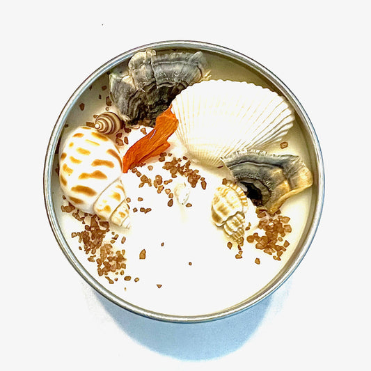"Coral Reef" Artisanal Soy Candle: 2 oz.