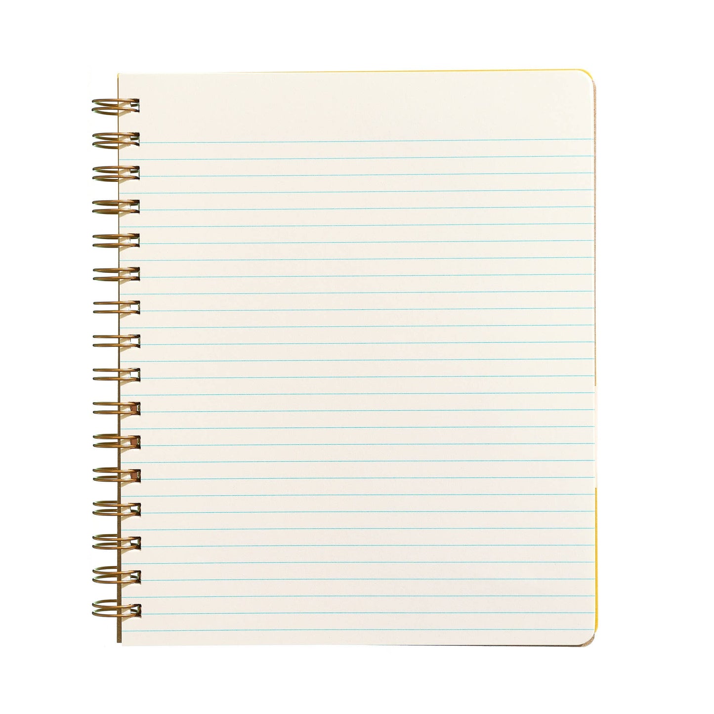 Standard Notebook - Ocean: Right / Sketch