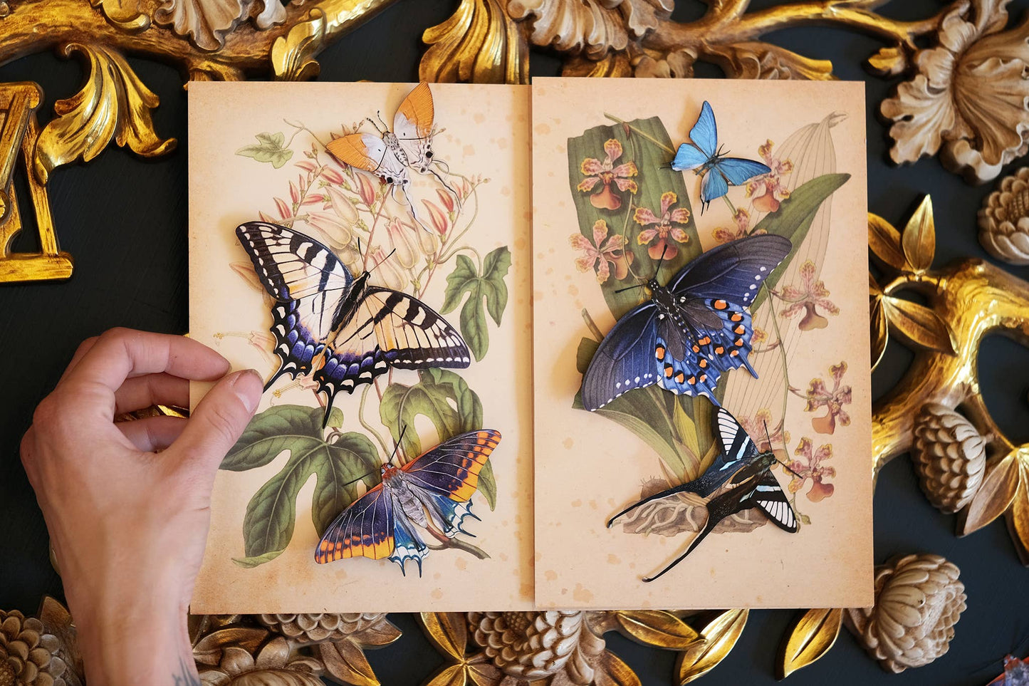 "Southeast" 3 Piece Butterfly set