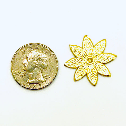 Star Dresden Trim