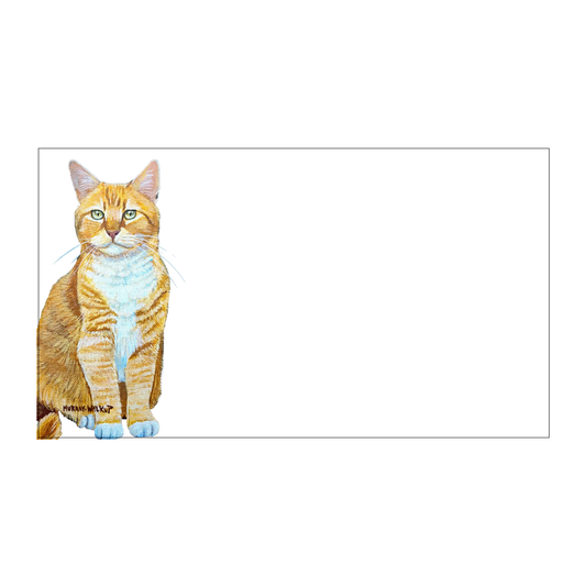 Orange Cat Tiny Cards | Pack of 60 "Love Notes"