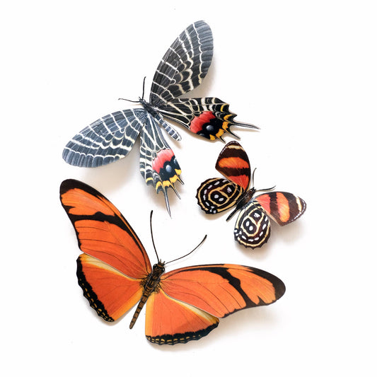 'Flower Child' Psychedelic Butterfly 3 piece Set