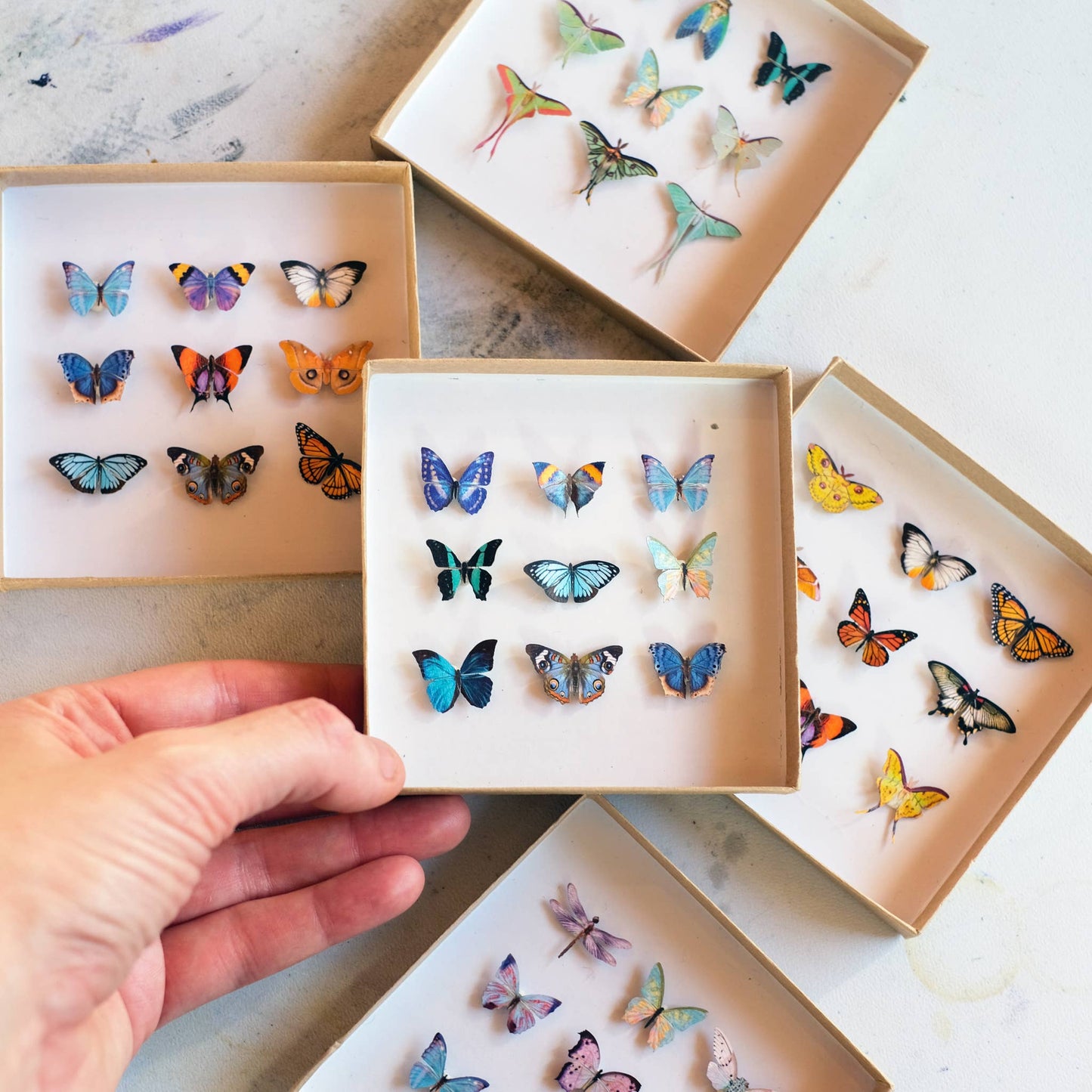 Tiny and lifelike paper butterflies to craft with or to decorate a space or gift!