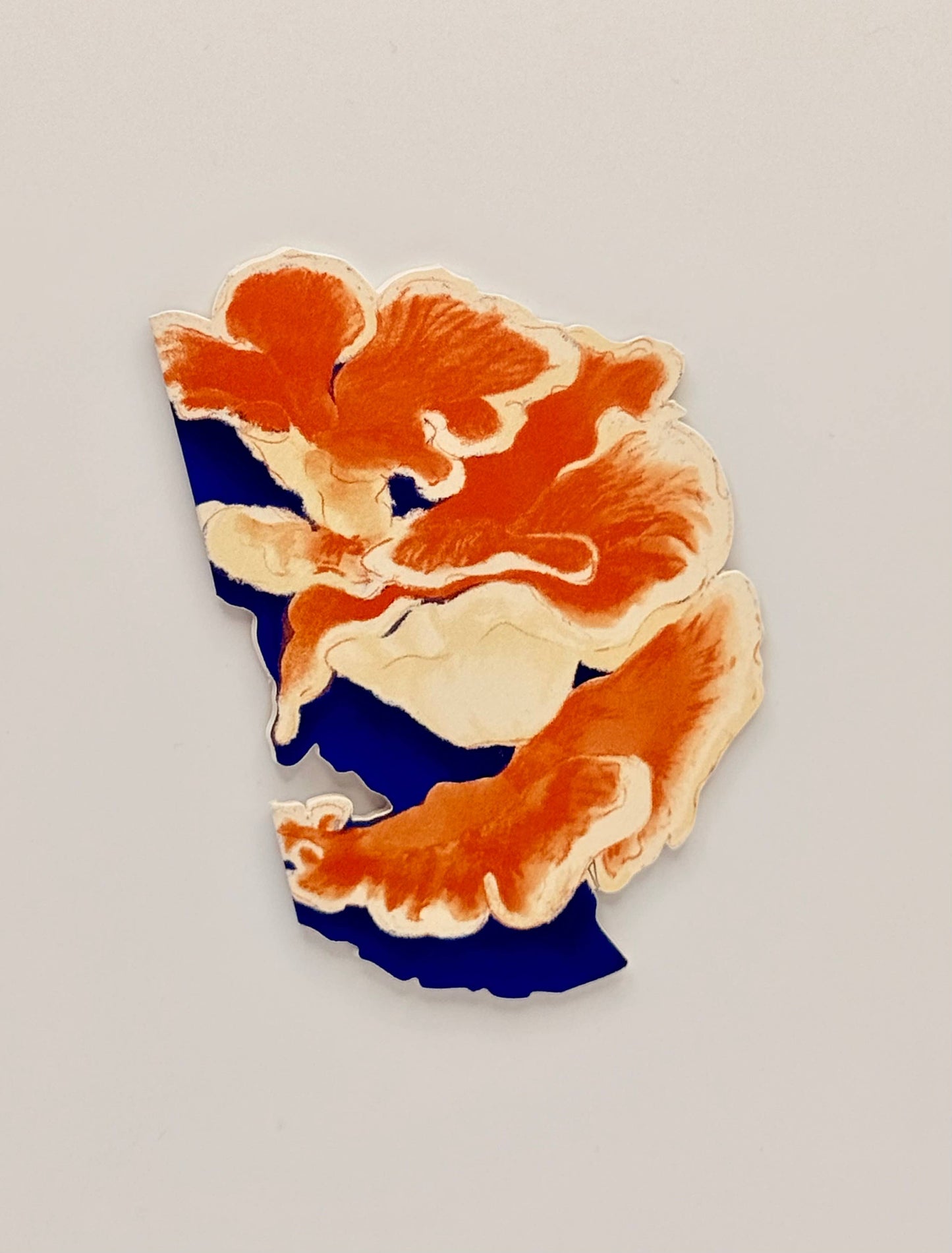 Foraged Fungi Die-Cut Greeting Card Set