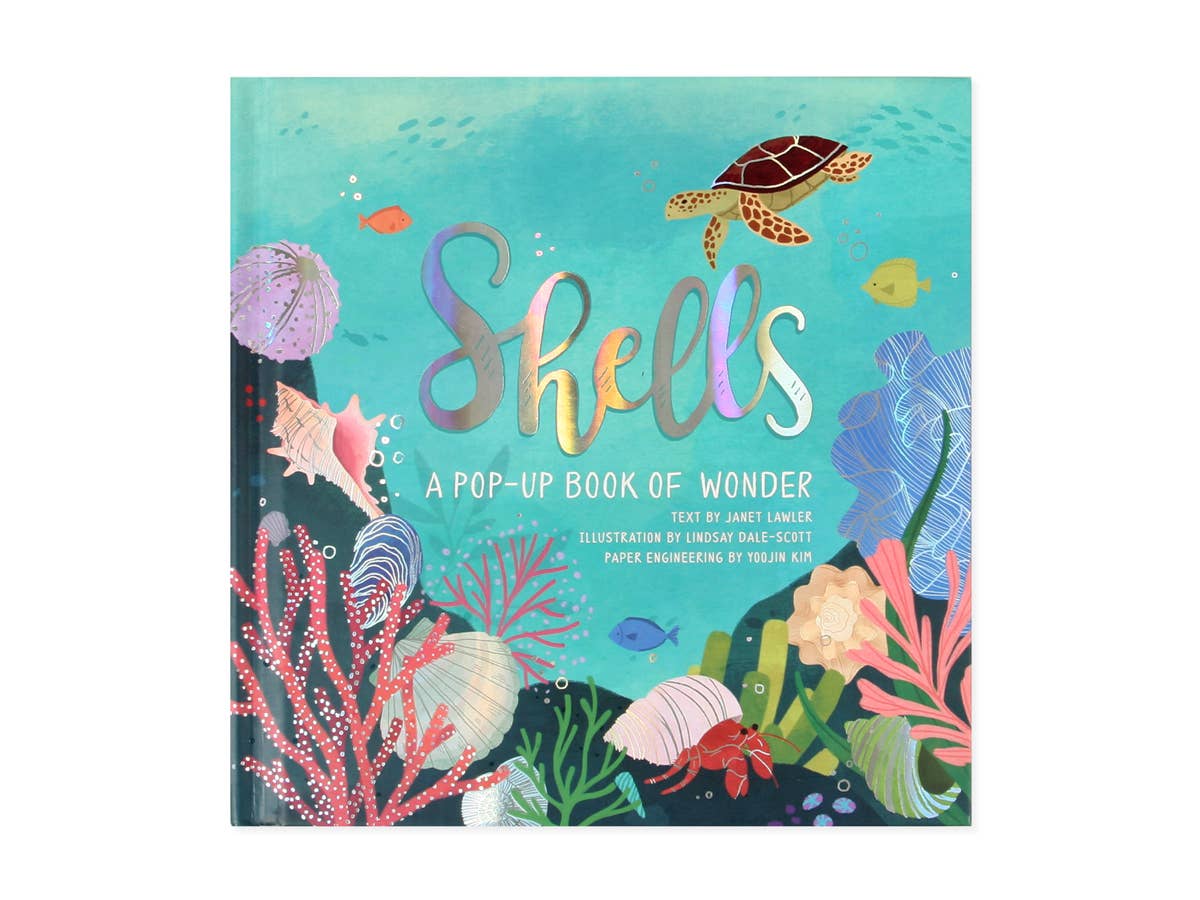 Shells: A Pop-Up Book Of Wonder