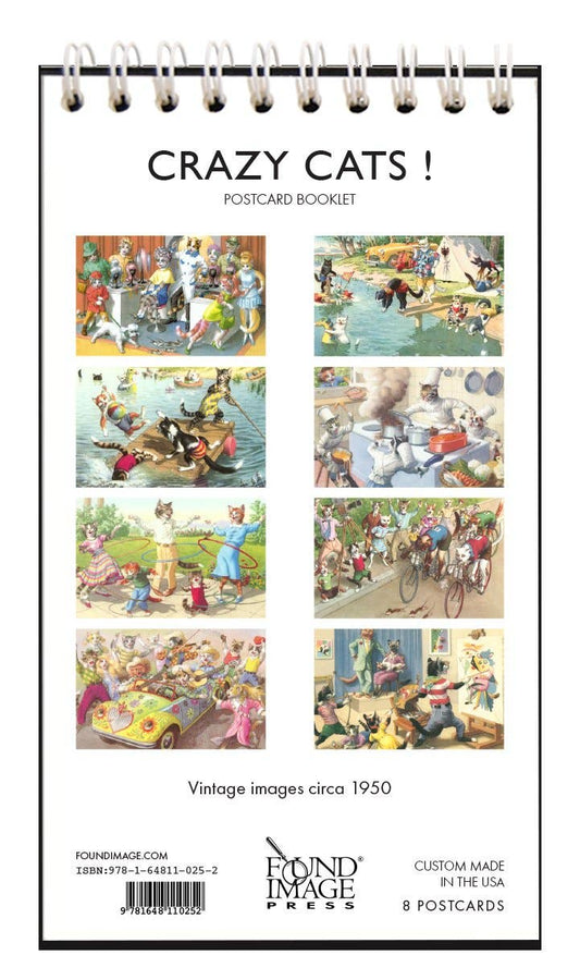 CRAZY CATS ! Postcard Booklet