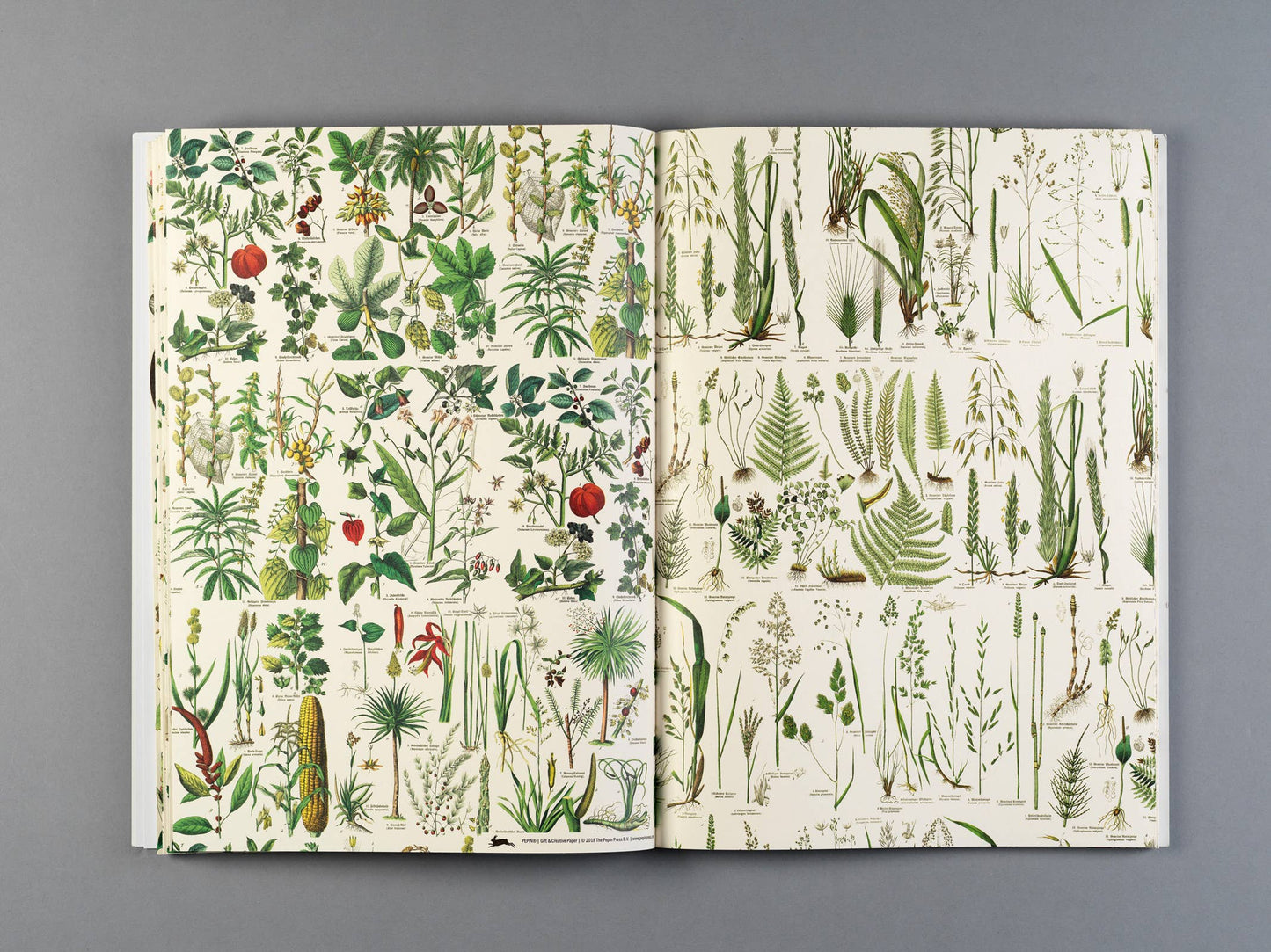 Flora Gift & Creative Paper Book Vol. 85