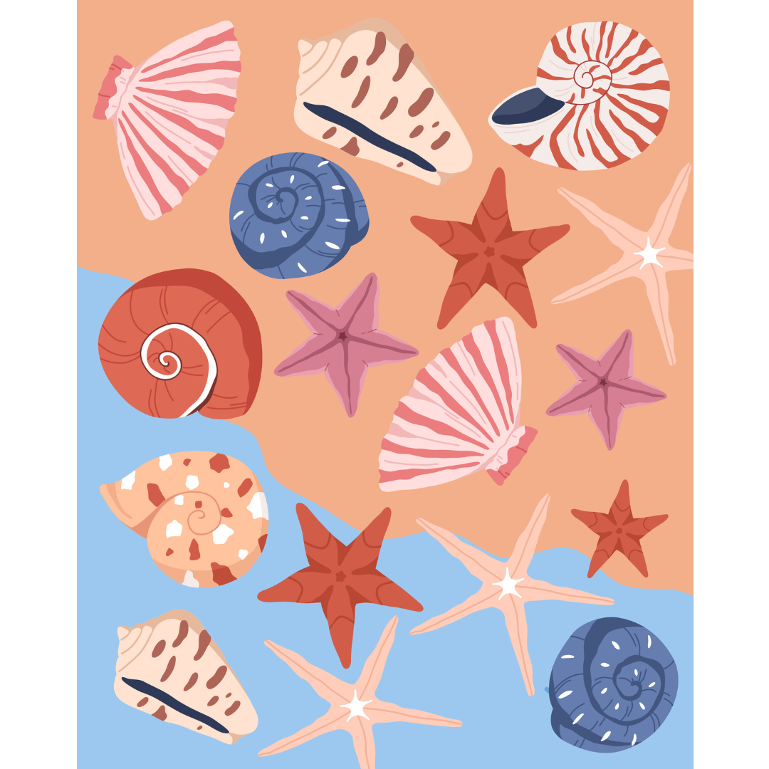 Sea Some Shells