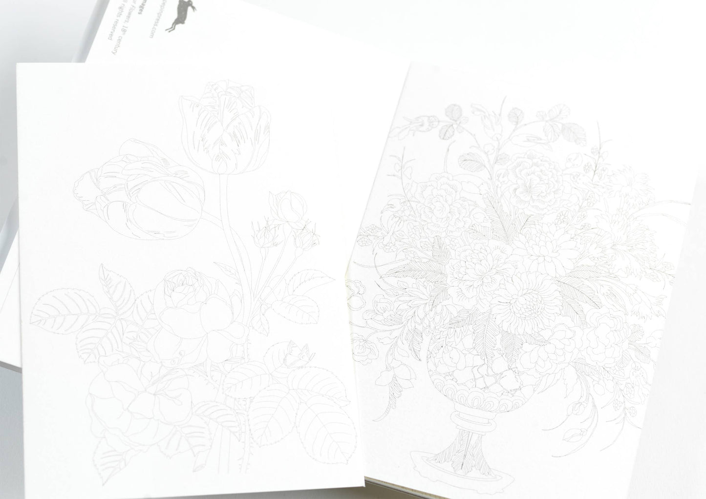Floral Images Watercolour Postcard Book
