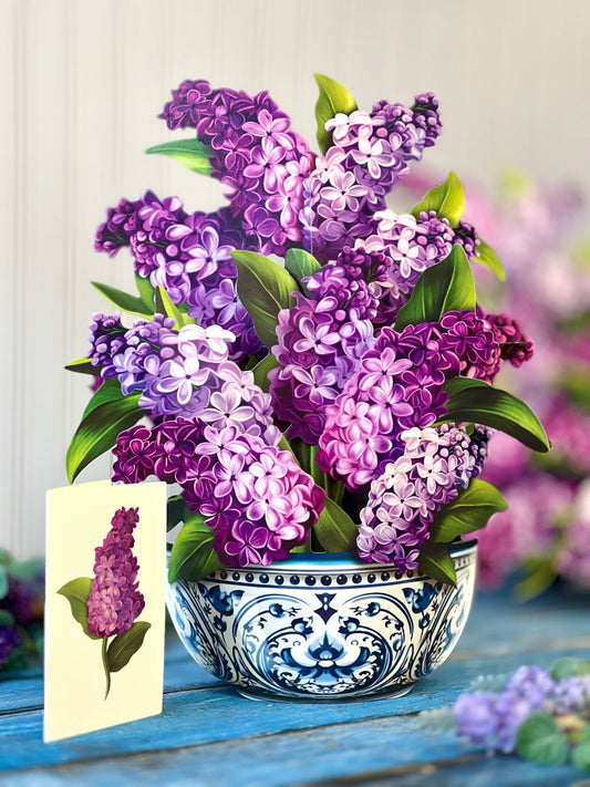 Garden Lilacs (8 Pop-up Greeting Cards)