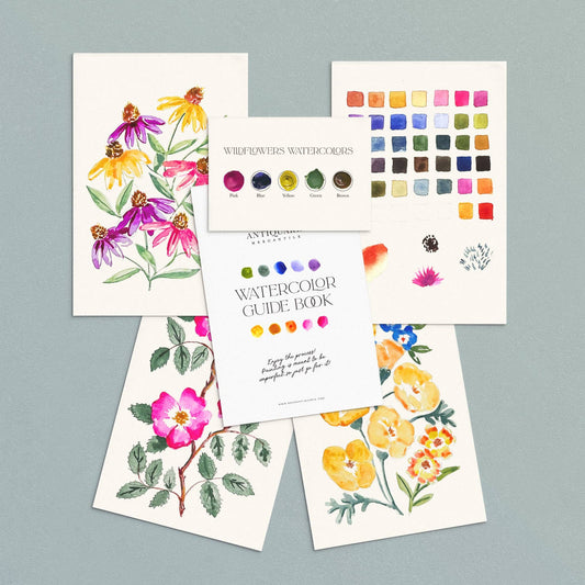 Watercolor Painting Kit : Wildflowers No. 1