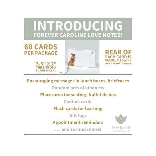 Floating Otters Pair Tiny Cards | Pack of 60 "Love Notes"