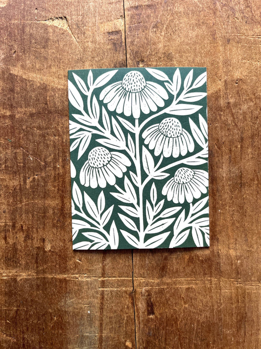 Echinacea Blank Greeting Card: Box of Six