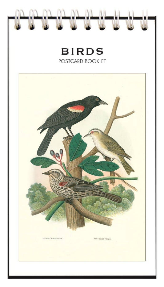 BIRDS Postcard Booklet