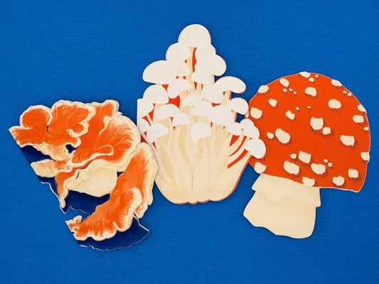 Foraged Fungi Die-Cut Greeting Card Set