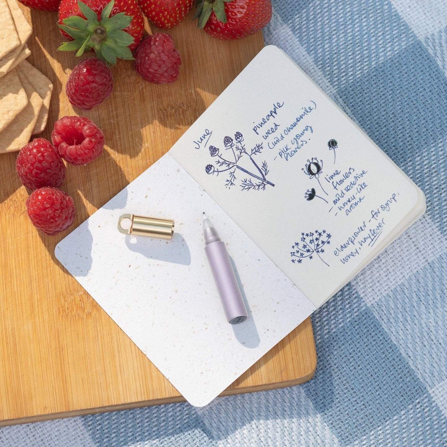 The Field Mouse – refillable travel pen: Ivy
