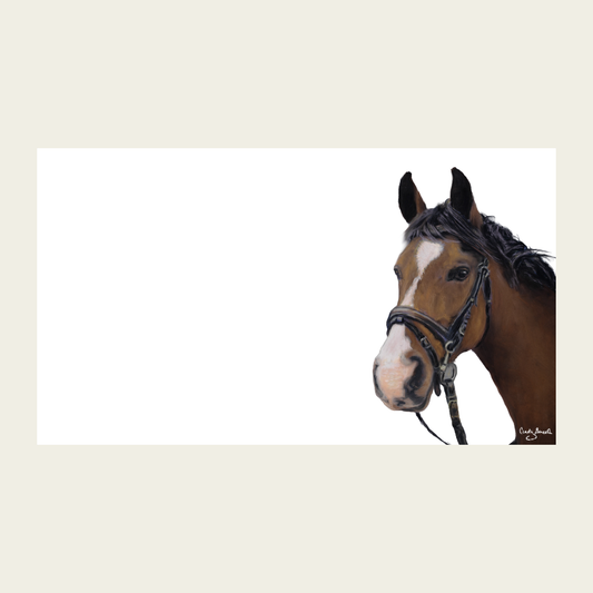 Horse Tiny Cards | Pack of 60 "Love Notes"