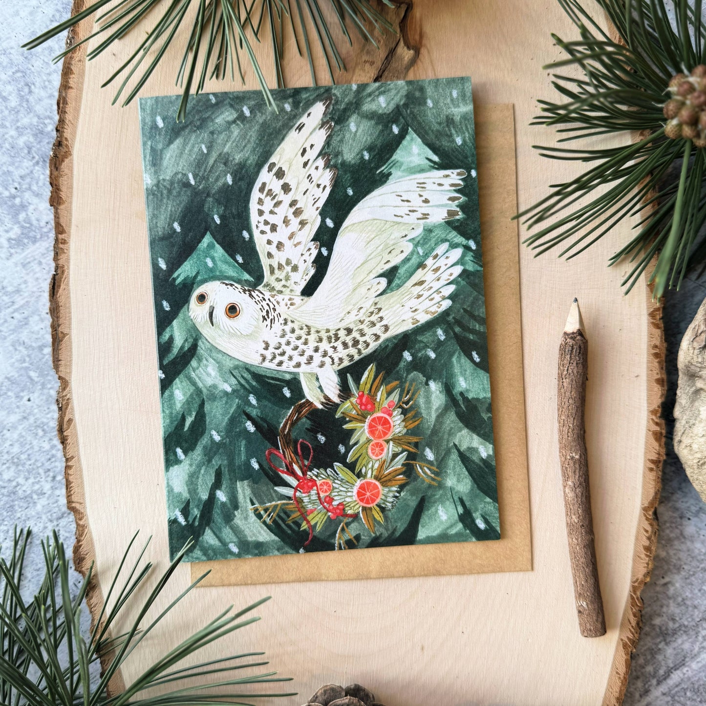 Festive Owl Holiday Cards (Boxed Card Set)