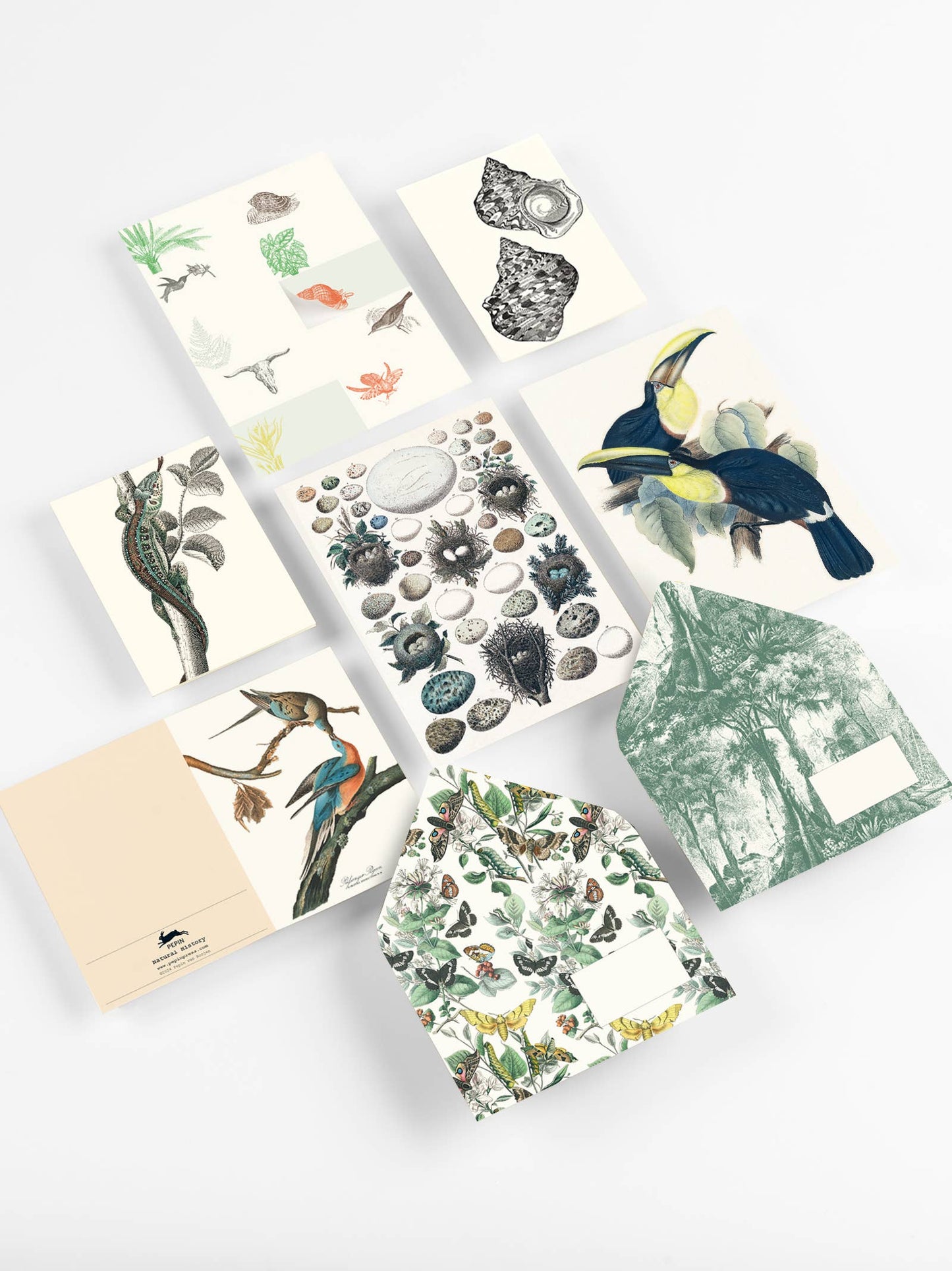 Natural History Correspondence Set