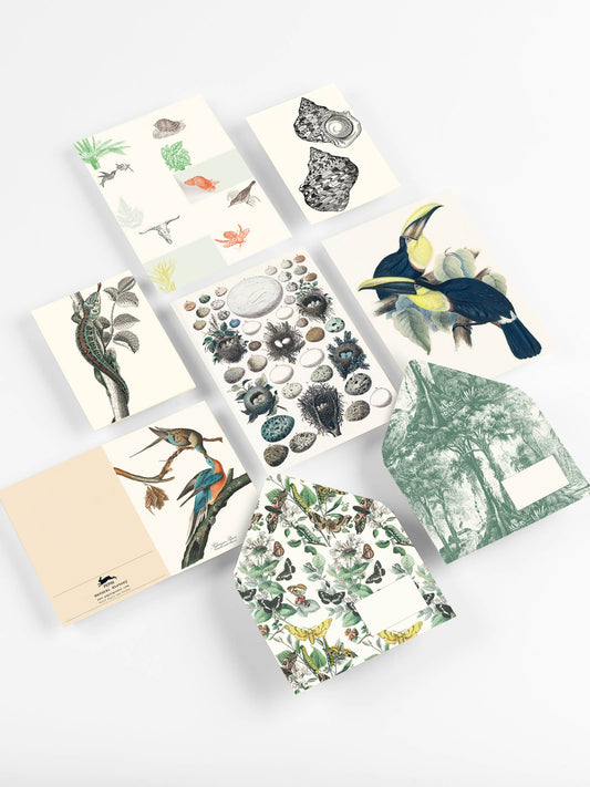 Natural History Correspondence Set