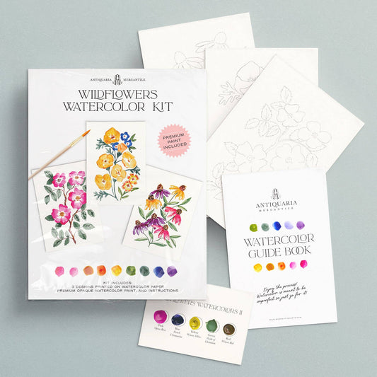 Watercolor Painting Kit : Wildflowers No. 1
