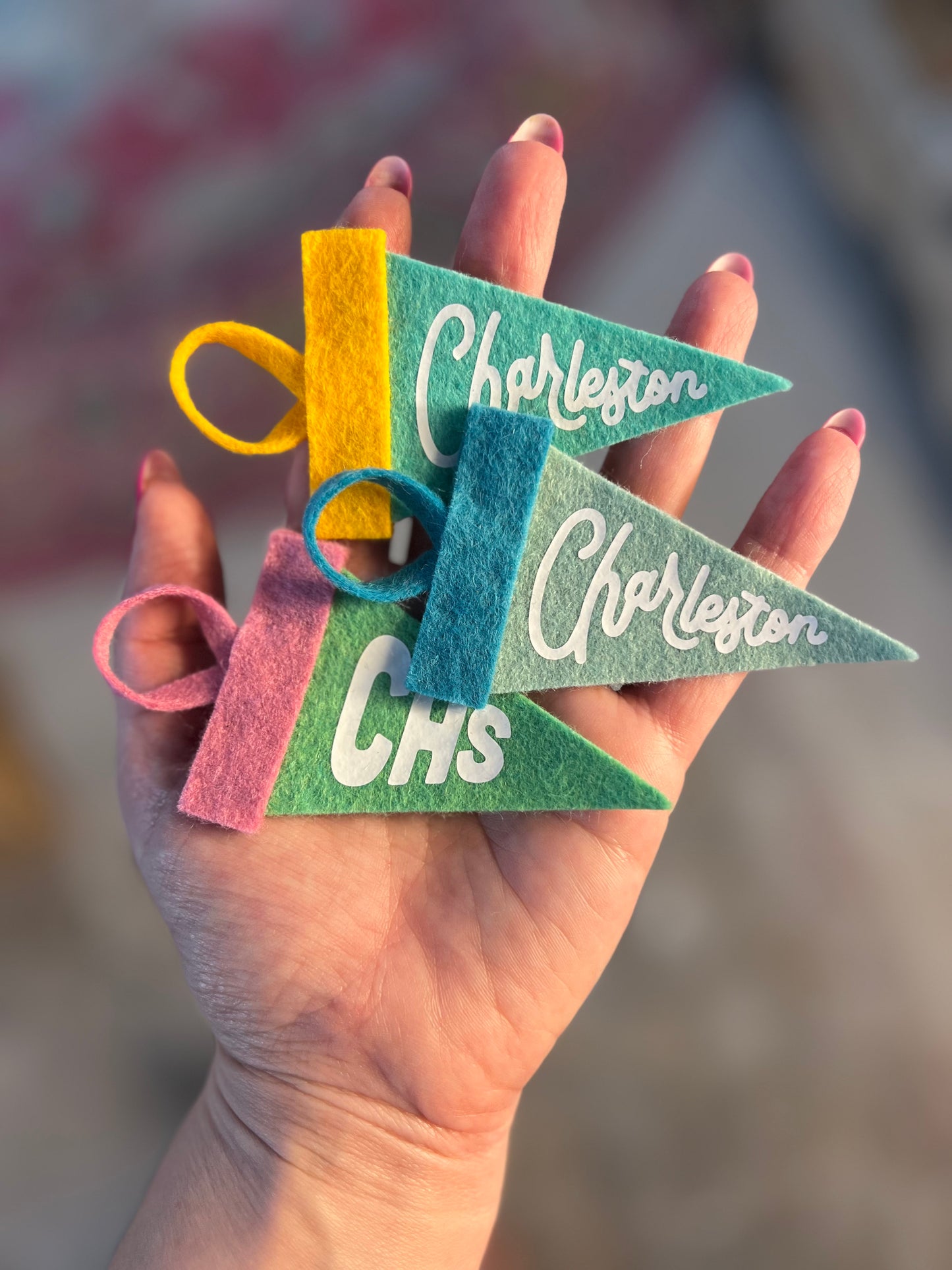 Charleston mini pennant