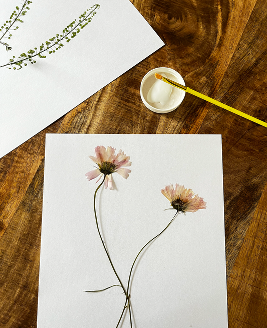 Pressed Flower + Foliage Workshop - April