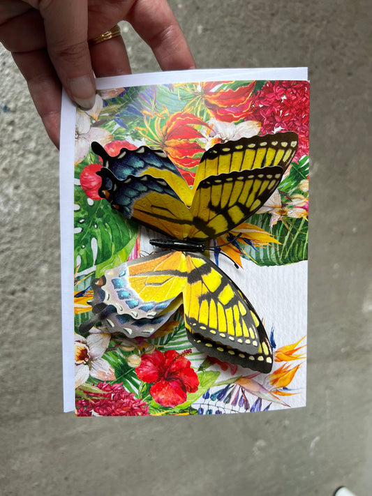 Paper Butterfly Card