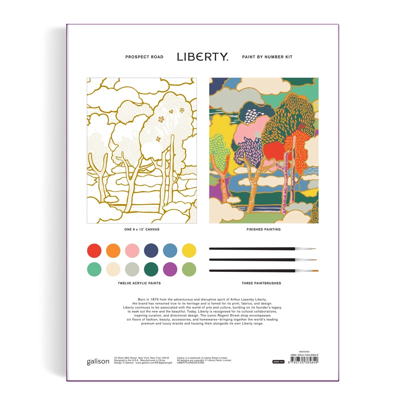 Liberty Paint by Number