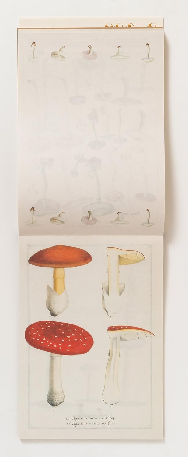 100 Writing and Crafting Papers - Mushroom