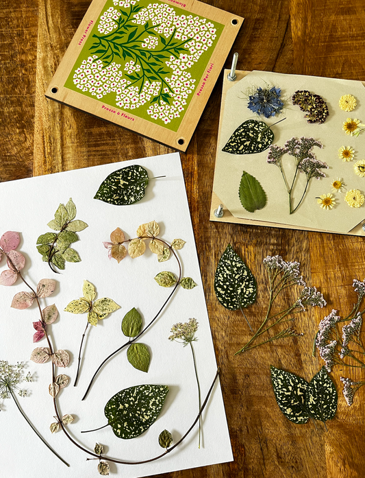 Pressed Flower + Foliage Workshop - April