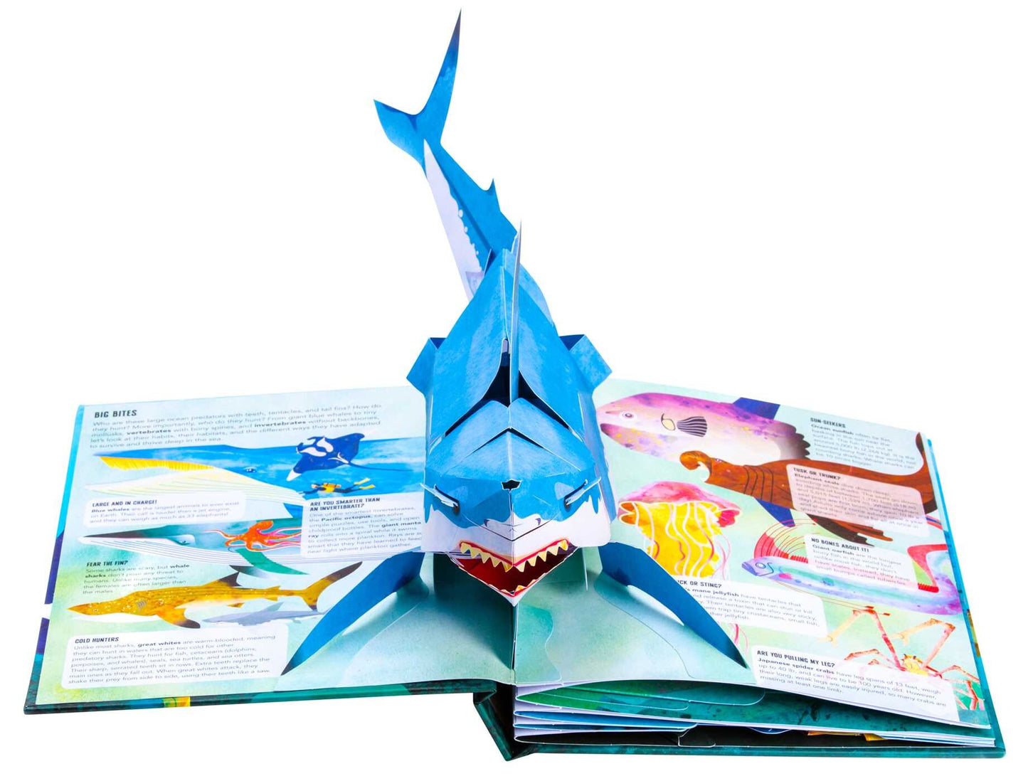 Teeth, Tentacles, and Tail Fins - Pop Up