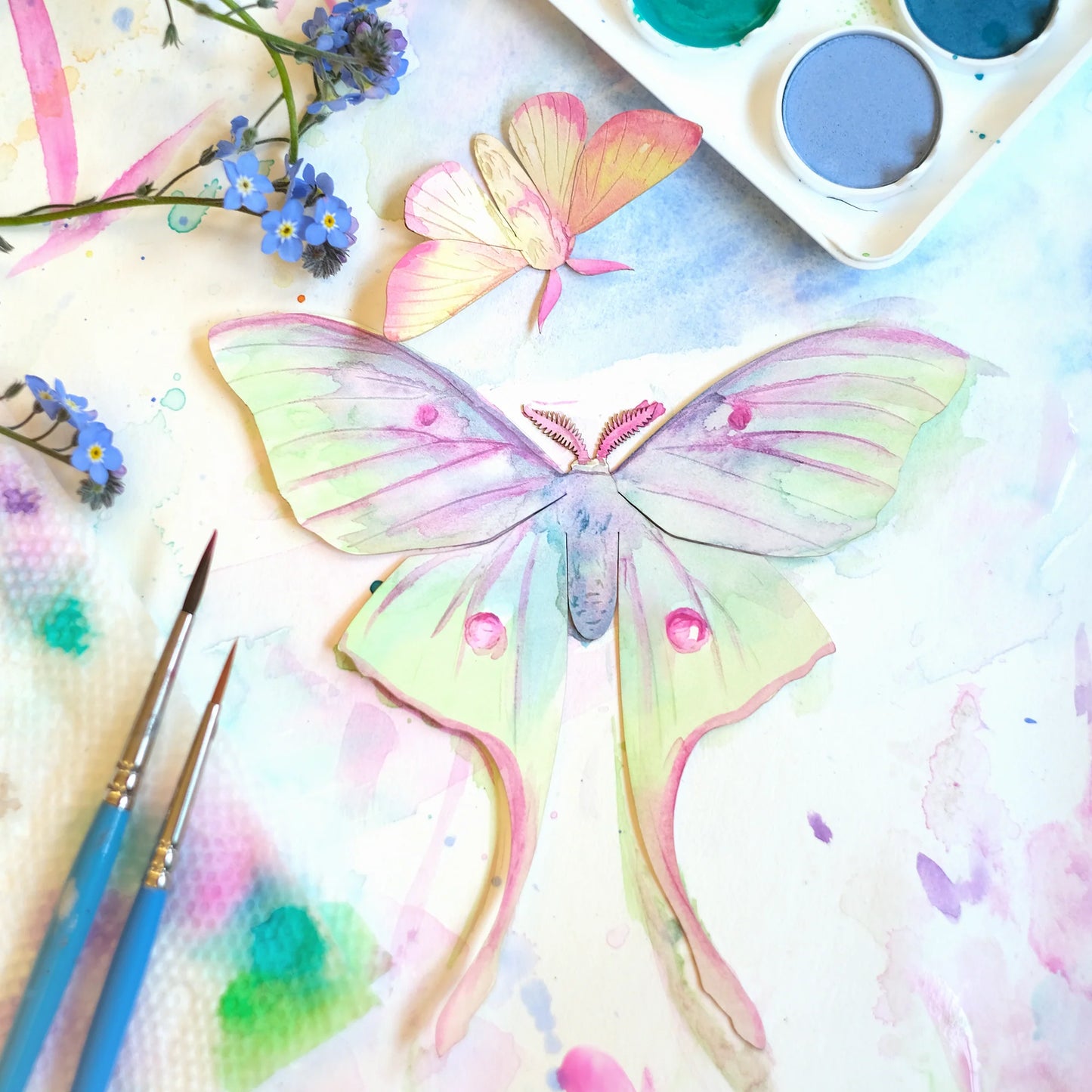 Watercolor Kit - Butterfly & Moth Collection