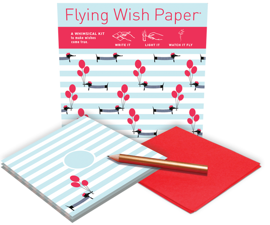 Flying Wish Paper Mini Kit - Celebrate