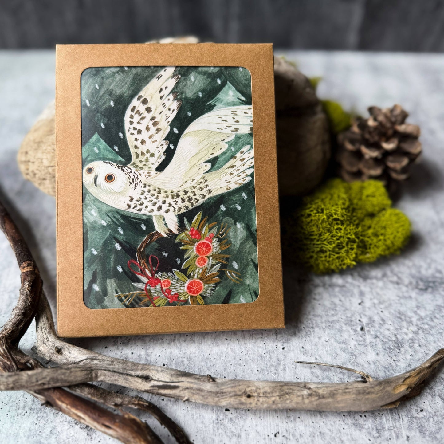 Festive Owl Holiday Cards (Boxed Card Set)