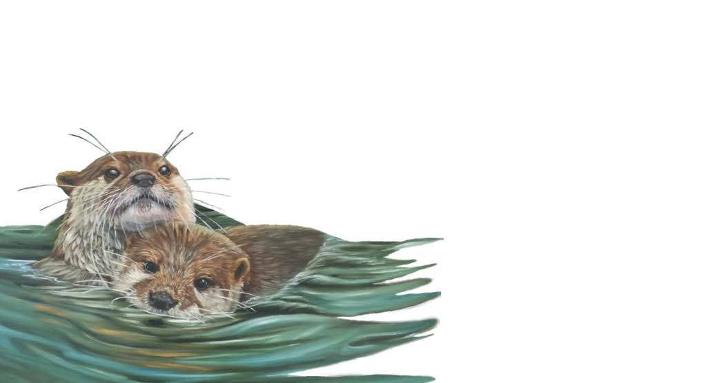 Floating Otters Pair Tiny Cards | Pack of 60 "Love Notes"