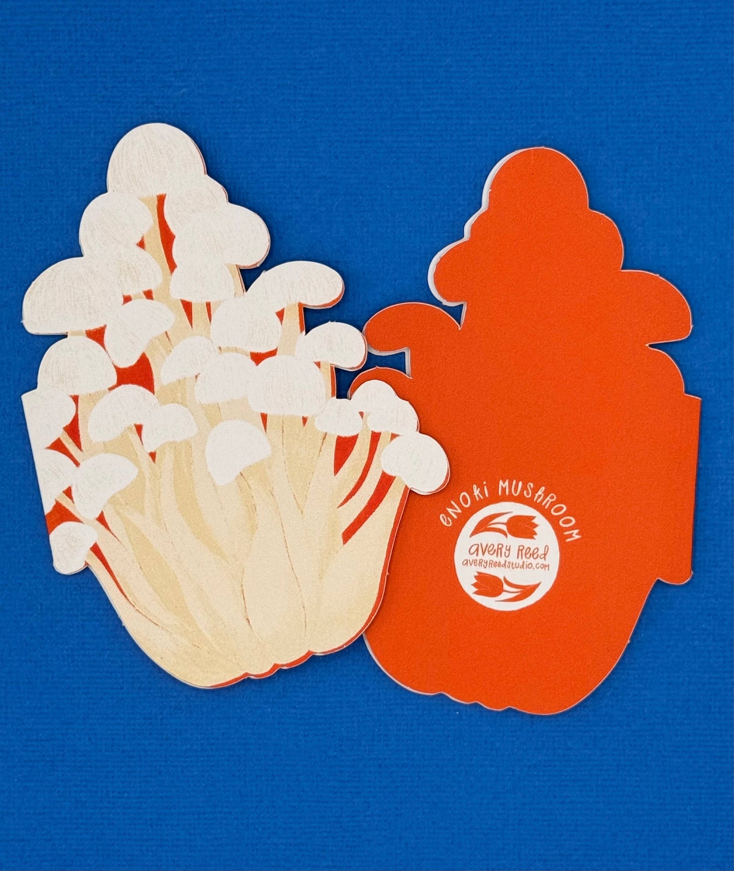 Foraged Fungi Die-Cut Greeting Card Set