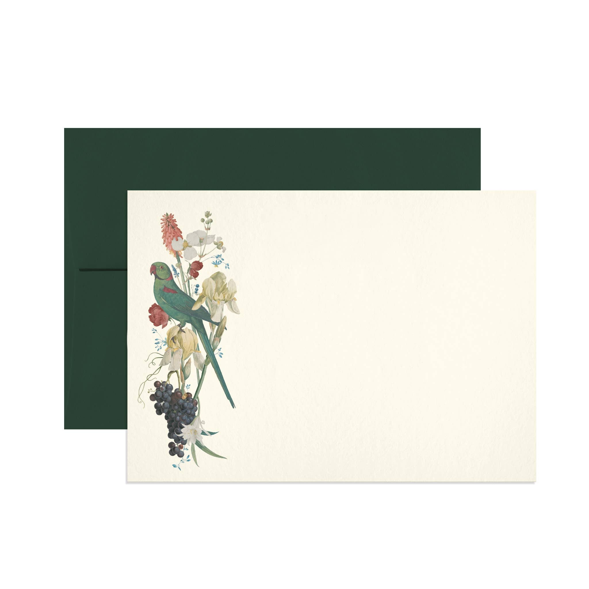 Perroquet Notecard Set – The Paper Canopy