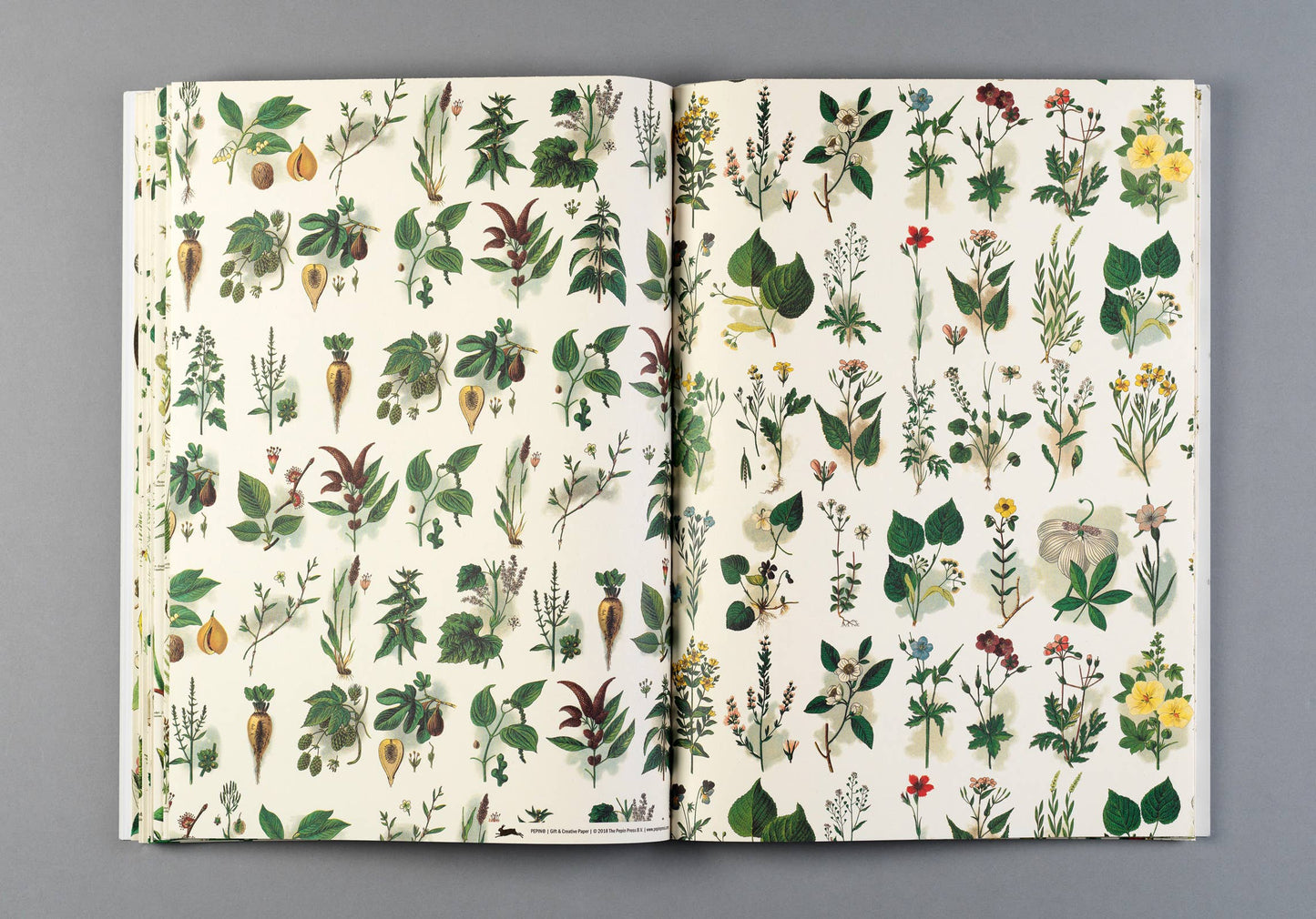 Flora Gift & Creative Paper Book Vol. 85