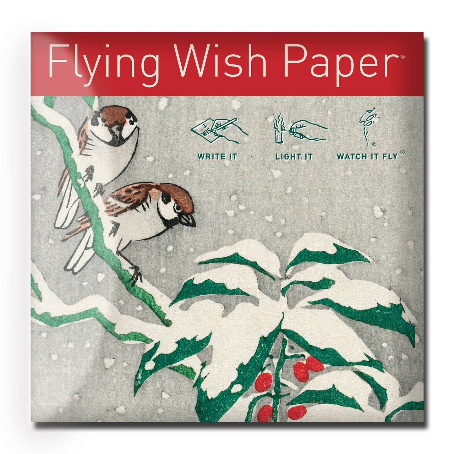 Snowbirds Mini Flying Wish Paper