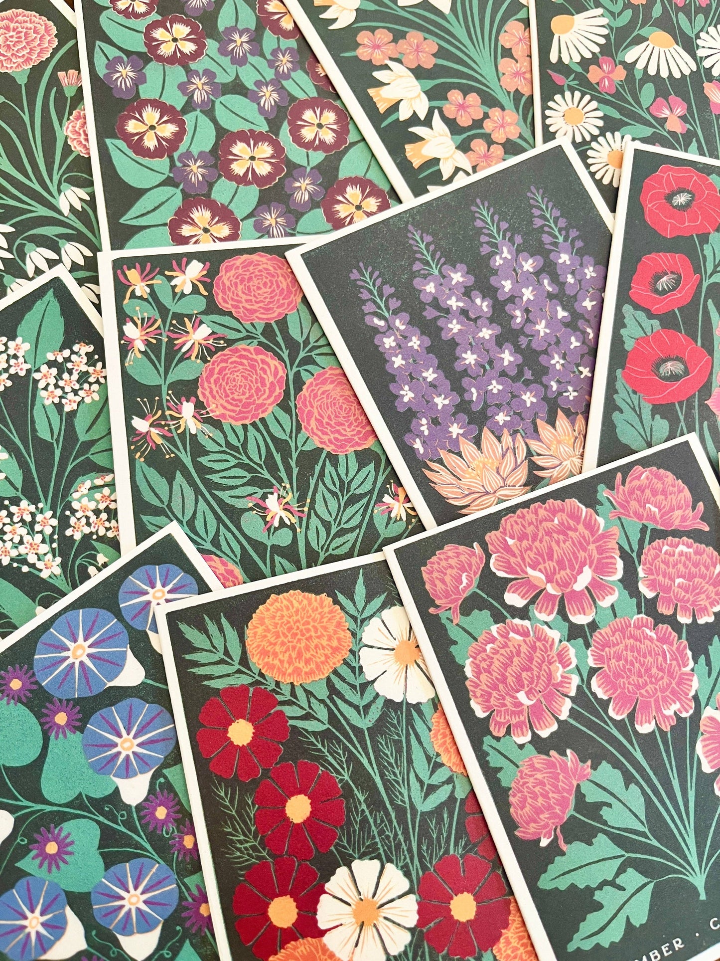 Birth Month Flowers: Complete 12 Card Boxed Set: Box of 12