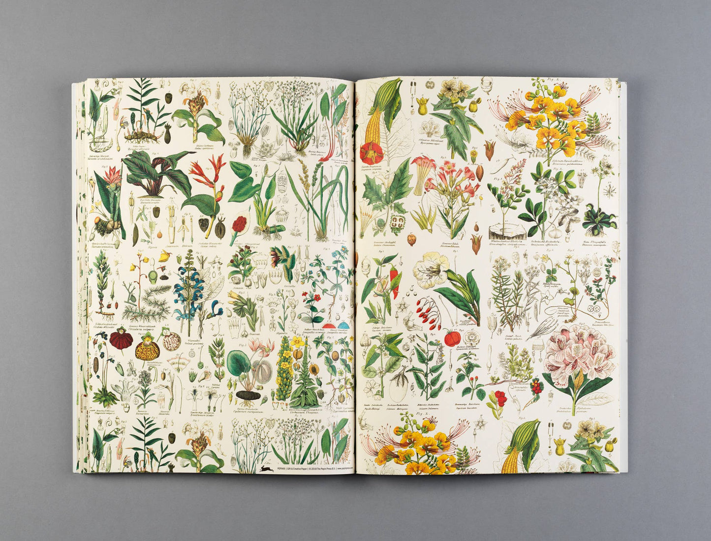 Flora Gift & Creative Paper Book Vol. 85