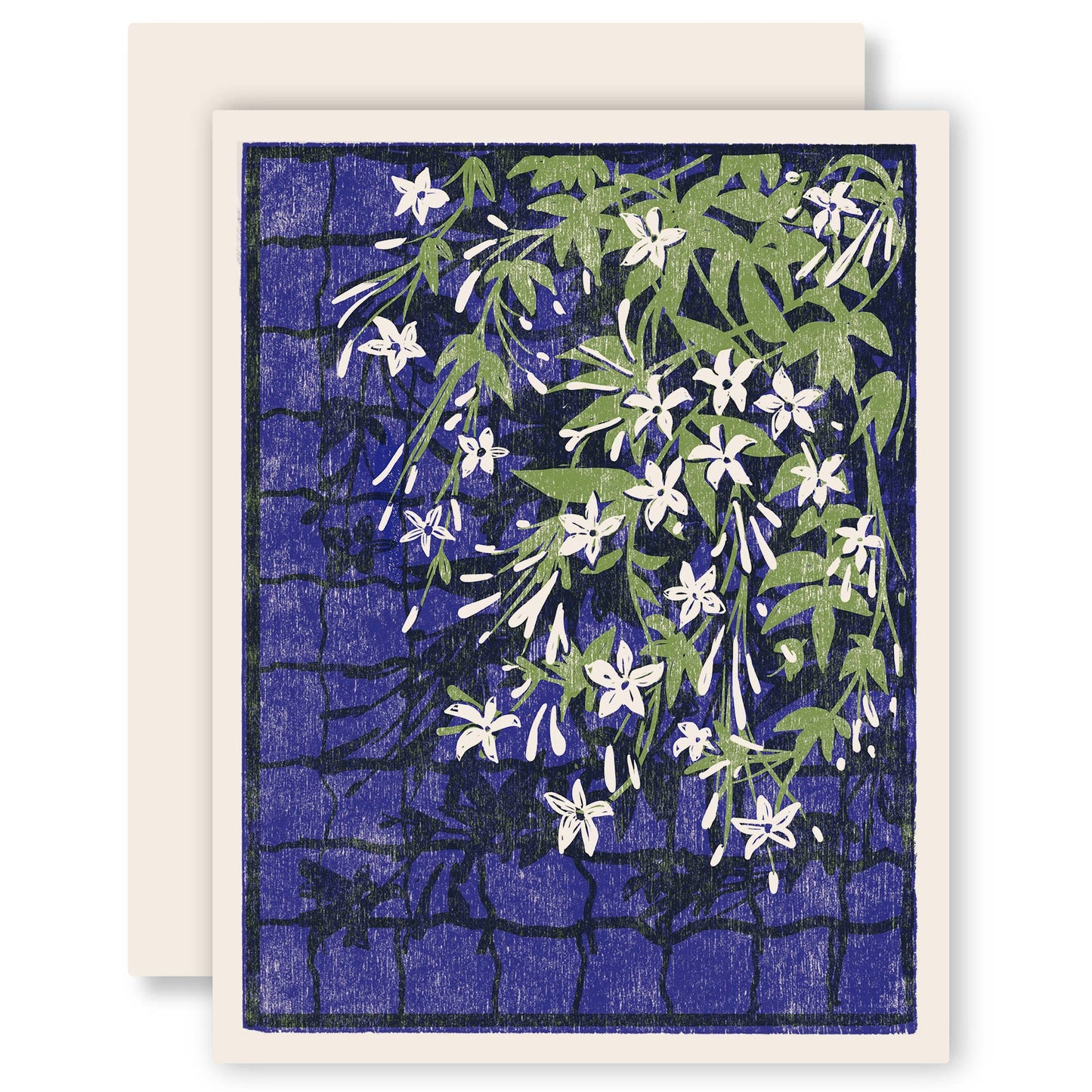 Climbing Jasmine Everyday Card - Boxed Set of Six