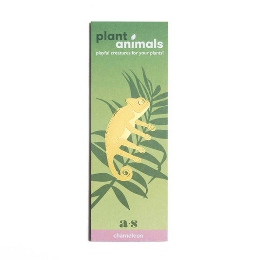 Plant Animal - Chameleon