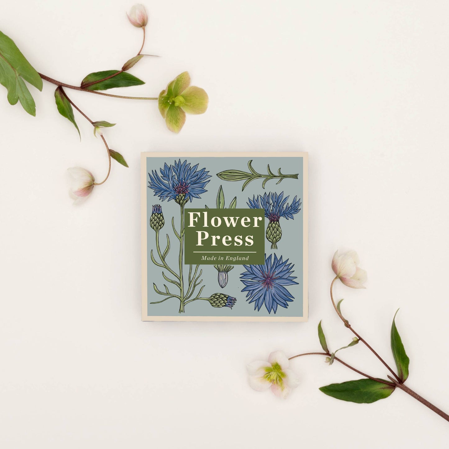 Flower Press - Cornflower