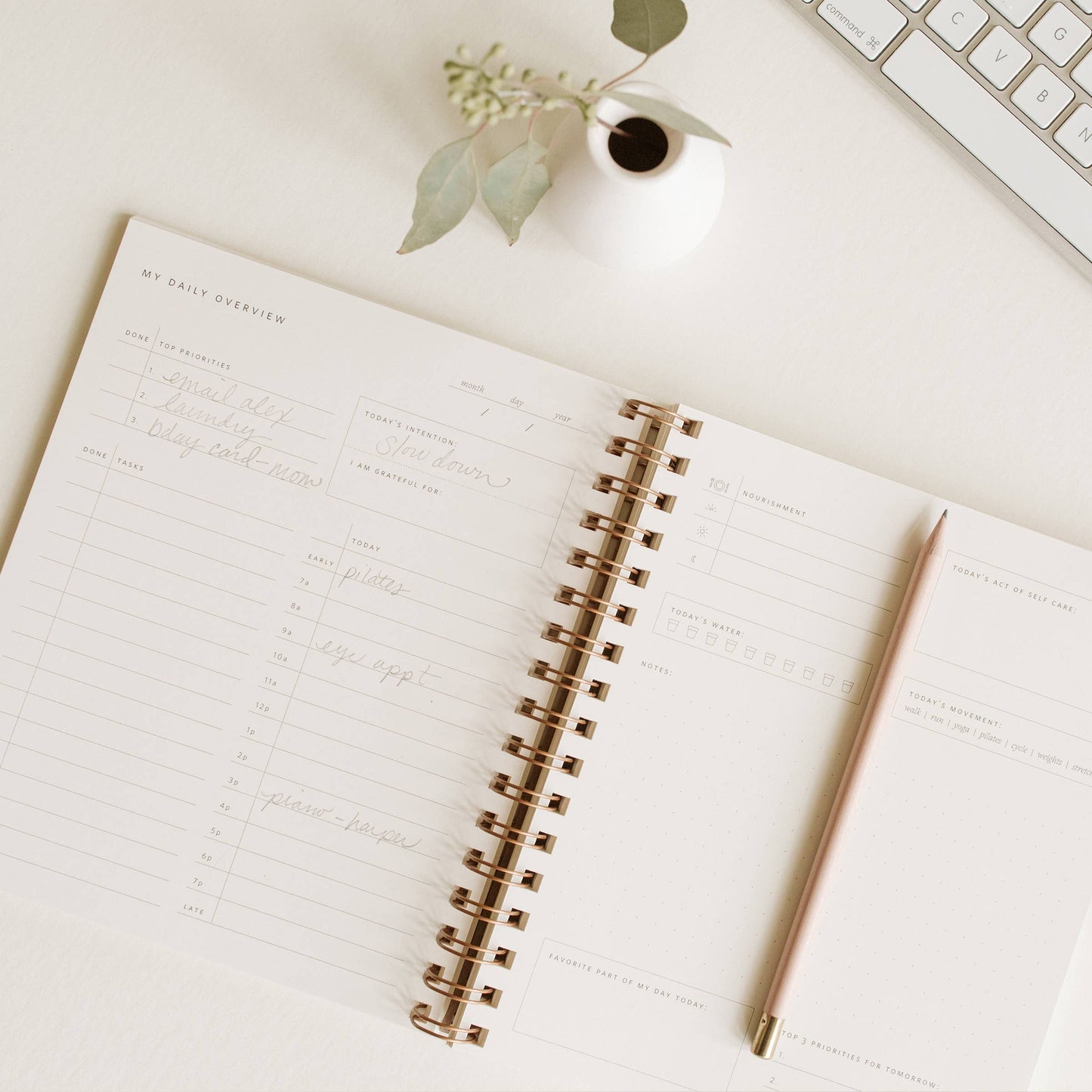 Daily Overview Planner | Assorted Colors // Undated: Steel Blue